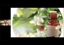 Descubre cómo se desarrolla la aromaterapia: Guía completa