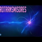 Neurotransmisores y aromaterapia: ¿Cuáles se activan?